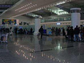 大连飞机场爆料事件最新,揭秘机场内部惊人真相