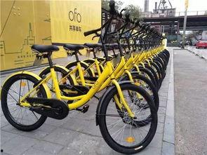 共享单车最新消息爆料,行业洗牌加速，未来格局将如何演变？