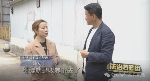 石狮吴先生爆料案件最新,揭开惊人真相，正义终将到来