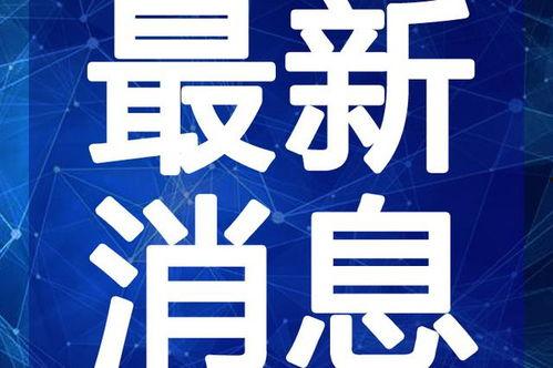 乐山酒店爆料视频最新,一窥酒店行业背后真相